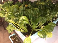 -乾州食府(小雁塔店)