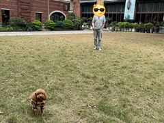 -JUJU韩式烤肉·干杯小酒馆