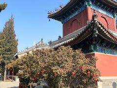 -大钟寺古钟博物馆