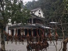 -阿巧茶庄
