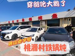 -桃源村铁锅炖鱼(体育馆道店)