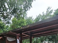 -碧水湾温泉