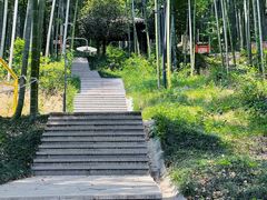 -东明山森林公园