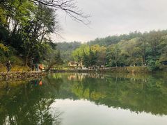 -韶山毛泽东同志故居