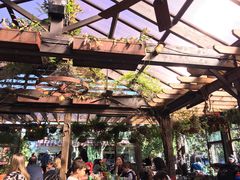 -The Grounds of Alexandria