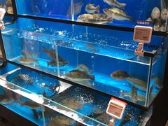 -盒马鲜生(曜一城店)