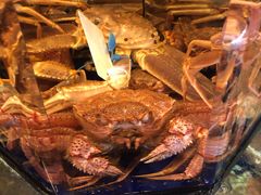 -蟹道乐(道顿堀本店)