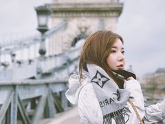-塞切尼链桥
