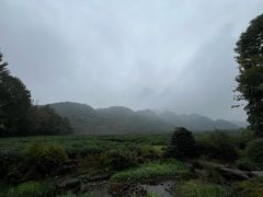 -中国茶叶博物馆(双峰馆区)