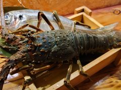 -矶野水产(澳门逸园中心店)