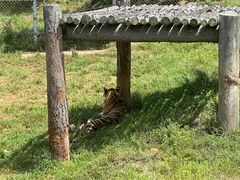 -西霞口神雕山野生动物世界