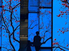 -中国湿地博物馆