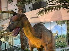 -烟台自然博物馆