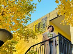 -三里屯东五街银杏大道