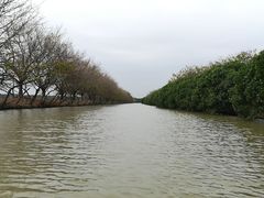 -大湾区中央湿地公园
