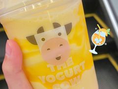 -一只酸奶牛(曲江龙湖星悦荟店)