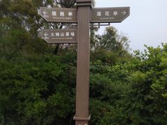-大姆山草场