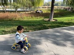 -西海子公园