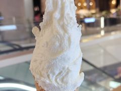 -野人先生现做冰淇淋(贵阳万象汇店)