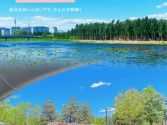 -东郊湿地公园