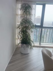 点击看大图 -HEYAN荷妍专业脱毛连锁机构