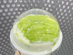 -茉酸奶(春熙路店)