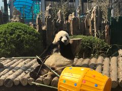 -大连森林动物园