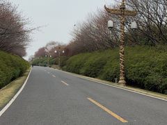 -宜兴龙背山森林公园