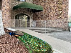 -J Create城市露营咖啡·简餐·宠物(上海动物园店)