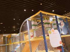 -武汉世茂希尔顿酒店·汇·全日餐厅