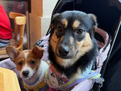 -Grande A'moo(上海万象城店)