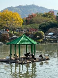 -玄武湖景区-情侣园游乐场