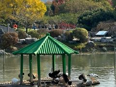 -玄武湖景区-情侣园游乐场