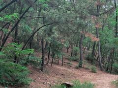 -北岭山森林公园