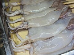 -郑州美盛喜来登大酒店