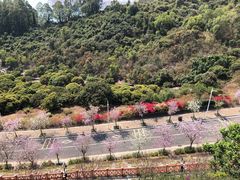 -小南山公园