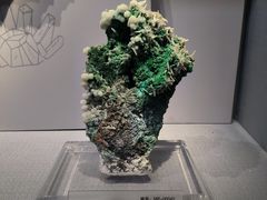 -湖南省地质博物馆