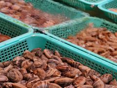 -隆都四季香饭店(碧海路店)