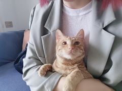 -伟伟宠物医院·CT影像中心·瑞派犬猫综合性门诊(汉口总院)