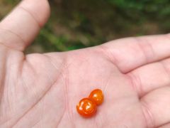 -七仙岭温泉国家森林公园