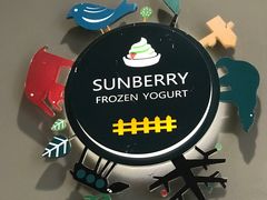 -三佰瑞冻酸奶(凯德MALL店)