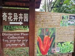 -中国科学院西双版纳热带植物园