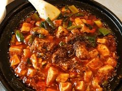 -陈麻婆豆腐总店
