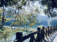 -广州市流溪河国家森林公园