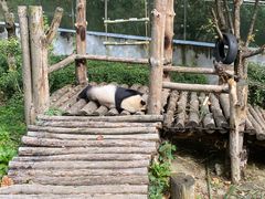 -黔灵山公园