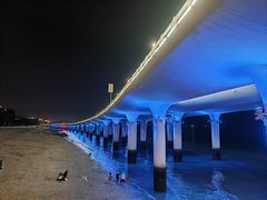 -演武大桥观景平台