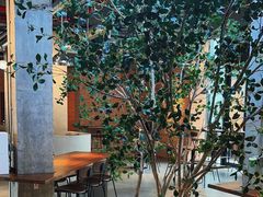 -喜马拉雅森(运河汇1958店)