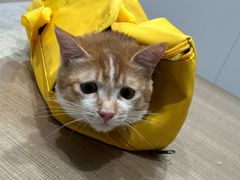 -荔康动物医院(康王北路店)