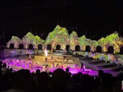 -花博汇(知音花月夜)