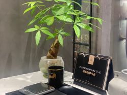 -香遇沙龙香水·调香·团建